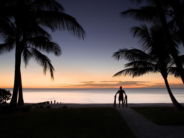 Обои пейзаж, горизонт, человек, пальмы, силуэт, landscape, horizon, people, palm trees, silhouette разрешение 2560x1920 Загрузить