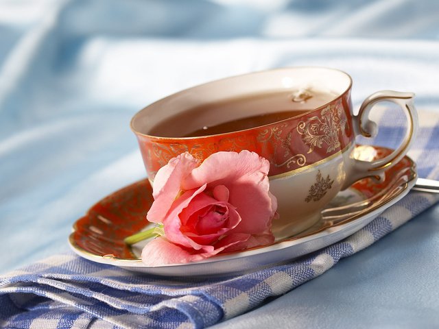 Обои цветок, роза, чашка, чай, салфетка, чаепитие, flower, rose, cup, tea, napkin, the tea party разрешение 1920x1200 Загрузить