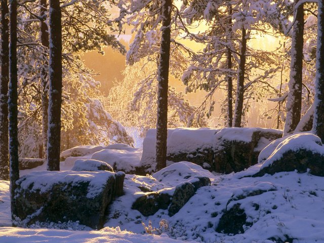 Обои свет, снег, камни, лес, зима, light, snow, stones, forest, winter разрешение 1920x1200 Загрузить