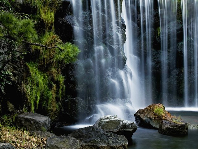 Обои камни, хвоя, водопад, поток, stones, needles, waterfall, stream разрешение 1920x1200 Загрузить