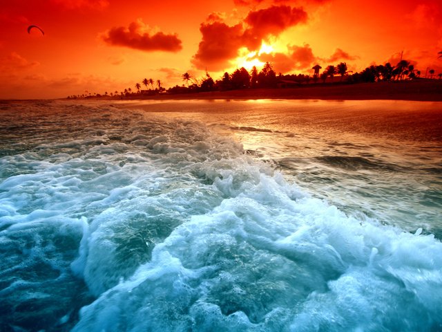Обои берег, волны, закат, пляж, пальмы, shore, wave, sunset, beach, palm trees разрешение 4600x3067 Загрузить