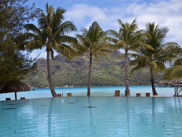 Обои облака, пальмы, бассейн, прибрежье, clouds, palm trees, pool, the coast разрешение 2560x1600 Загрузить