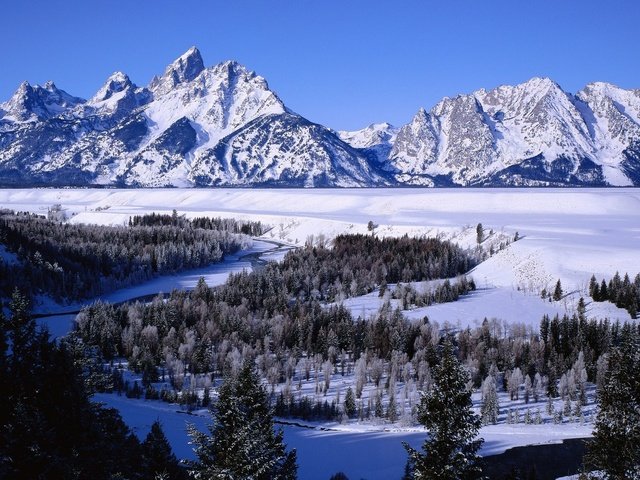 Обои деревья, река, горы, снег, зима, леса, дельта, trees, river, mountains, snow, winter, forest, delta разрешение 2277x1200 Загрузить