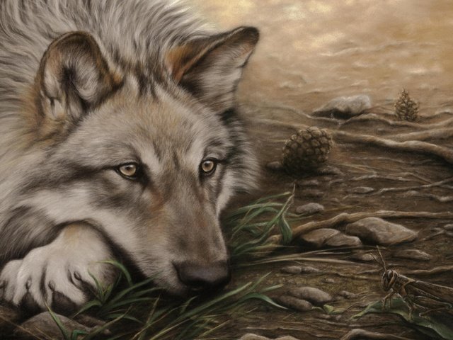 Обои арт, рисунок, лежит, волк, наблюдает, кузнечик, волк.хищник, art, figure, lies, wolf, watching, grasshopper, wolf.predator разрешение 1920x1200 Загрузить