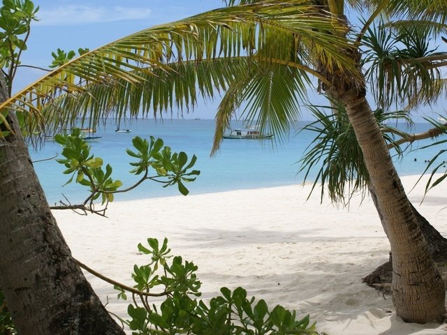 Обои берег, песок, ветки, залив, пальмы, остров, судна, shore, sand, branches, bay, palm trees, island, ship разрешение 1920x1200 Загрузить