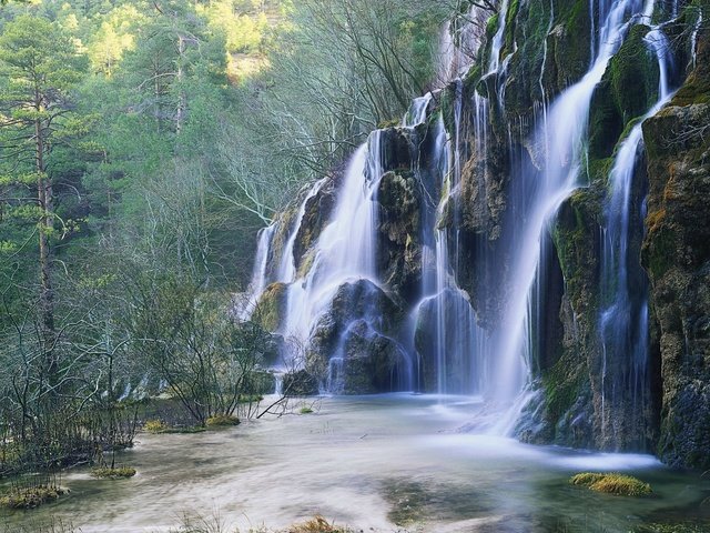 Обои деревья, лес, водопад, trees, forest, waterfall разрешение 1920x1200 Загрузить