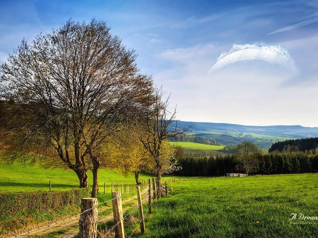 Обои дорога, дерево, поле, забор, dreamy world, road, tree, field, the fence разрешение 1920x1200 Загрузить