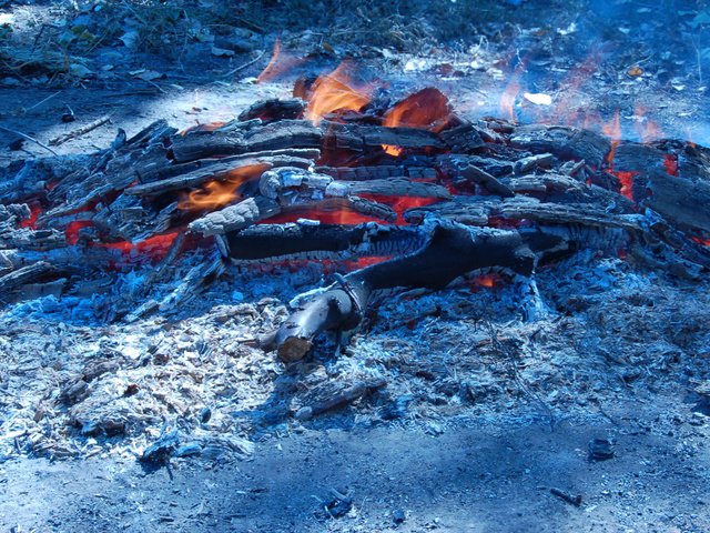 Обои пламя, огонь, полено, flame, fire, log разрешение 2560x1600 Загрузить