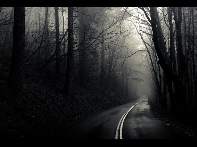 Обои дорога, деревья, лес, чёрно-белое, road, trees, forest, black and white разрешение 1920x1080 Загрузить