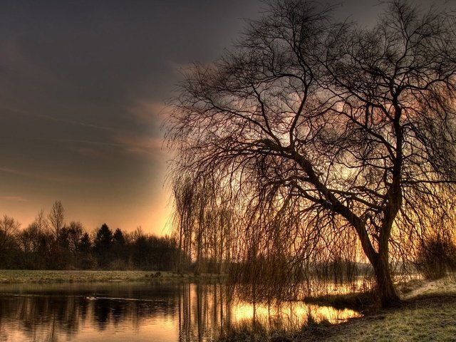 Обои вечер, озеро, река, дерево, осень, hdr, ива, the evening, lake, river, tree, autumn, iva разрешение 2560x1600 Загрузить