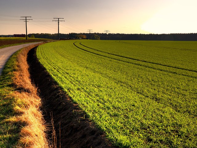 Обои небо, дорога, поле, the sky, road, field разрешение 2560x1600 Загрузить