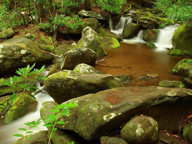 Обои камни, листья, ручей, водопад, stones, leaves, stream, waterfall разрешение 1920x1200 Загрузить