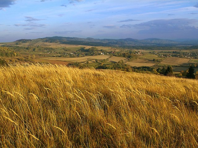 Обои небо, облака, холмы, природа, пейзаж, поле, колосья, польша, the sky, clouds, hills, nature, landscape, field, ears, poland разрешение 1920x1200 Загрузить