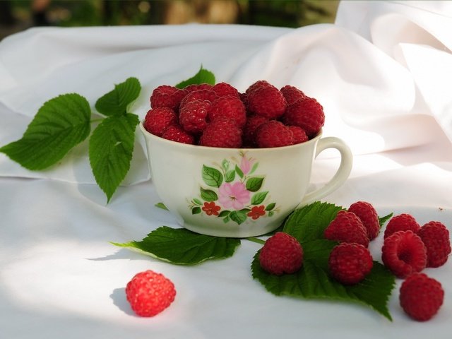 Обои малина, кружка, листики, raspberry, mug, leaves разрешение 2048x1536 Загрузить