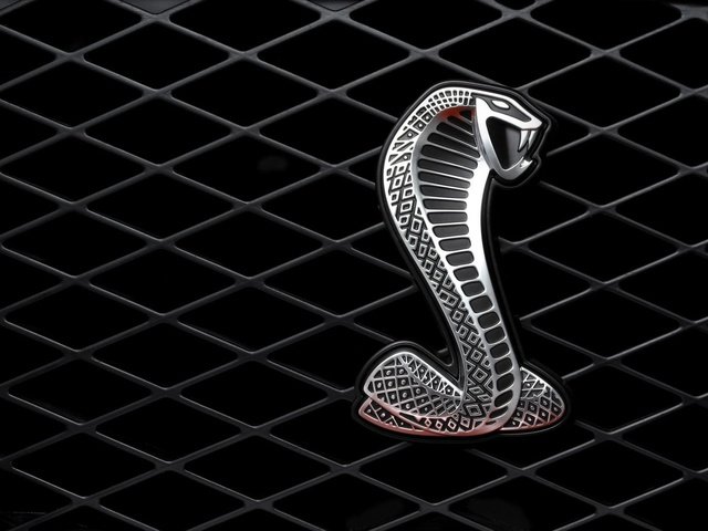 Обои металл, змея, решетка, metal, snake, grille разрешение 1920x1440 Загрузить