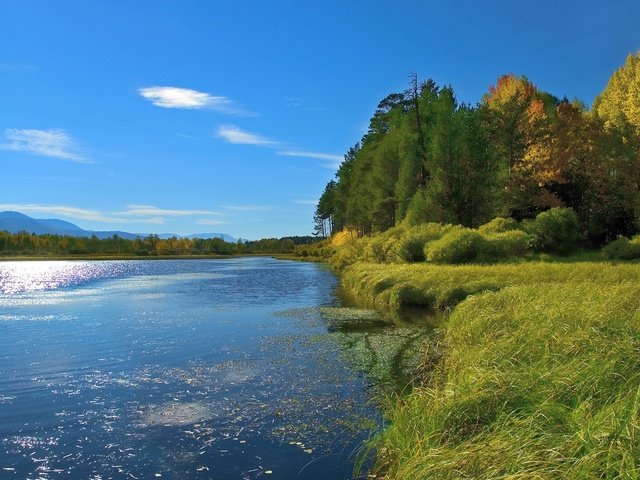 Обои озеро, берег, лето, lake, shore, summer разрешение 3200x1200 Загрузить