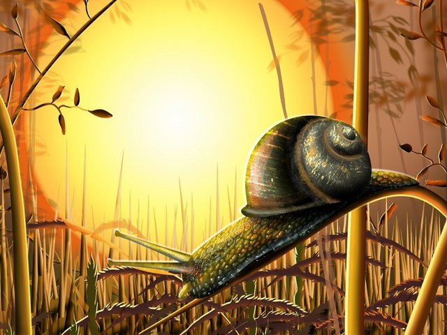 Обои трава, солнце, улитка, grass, the sun, snail разрешение 2400x1565 Загрузить