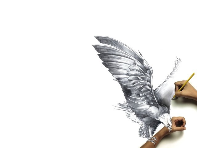 Обои рисунок, бумага, птица, руки, когти, карандаш, реальность, figure, paper, bird, hands, claws, pencil, reality разрешение 1920x1200 Загрузить