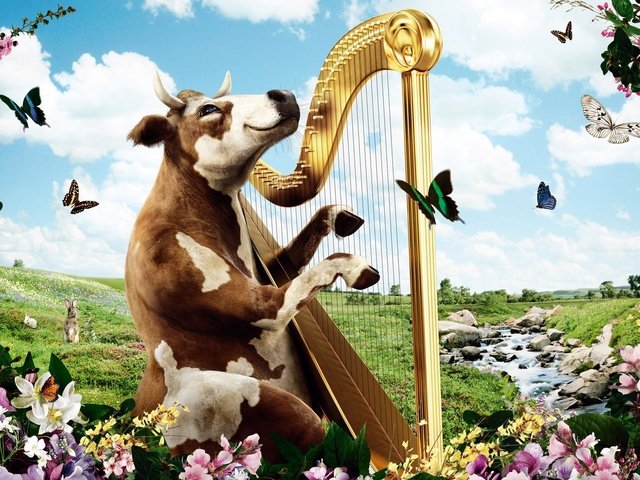 Обои природа, корова, арфа, nature, cow, harp разрешение 1920x1200 Загрузить