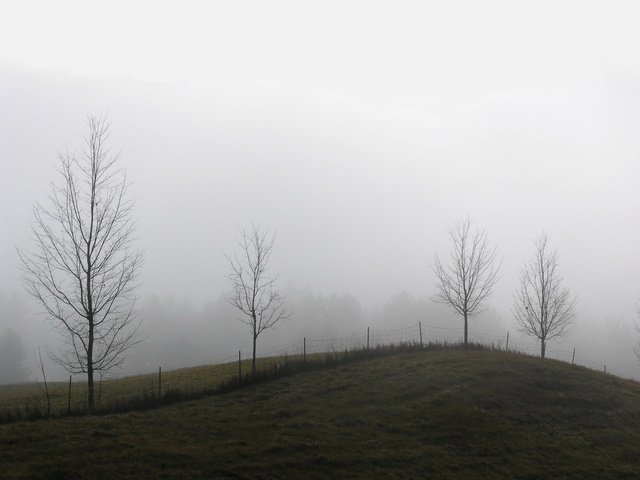 Обои деревья, туман, забор, холм, trees, fog, the fence, hill разрешение 1920x1440 Загрузить