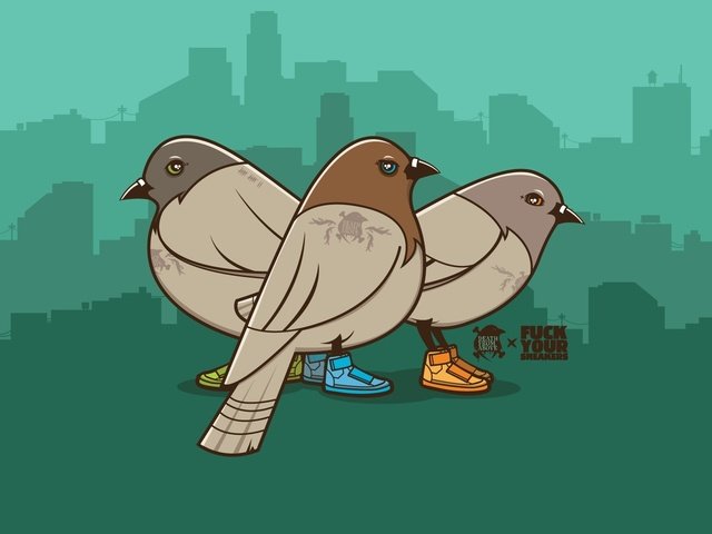 Обои вектор, кеды, голуби, vector, sneakers, pigeons разрешение 1920x1200 Загрузить