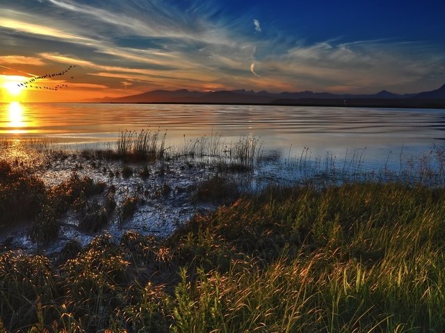 Обои вода, закат, птицы, water, sunset, birds разрешение 1920x1080 Загрузить