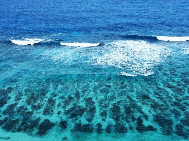 Обои вода, волна, голубой, океан, water, wave, blue, the ocean разрешение 1920x1200 Загрузить