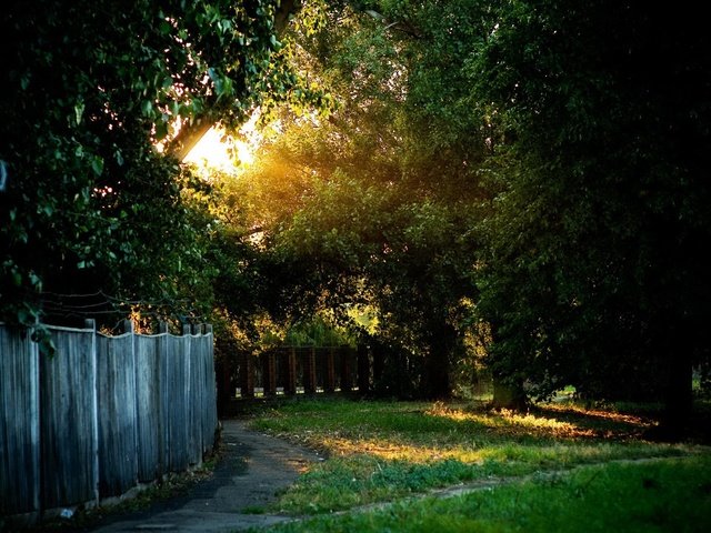 Обои свет, трава, солнце, забор, деверья, light, grass, the sun, the fence, devereaux разрешение 1920x1440 Загрузить