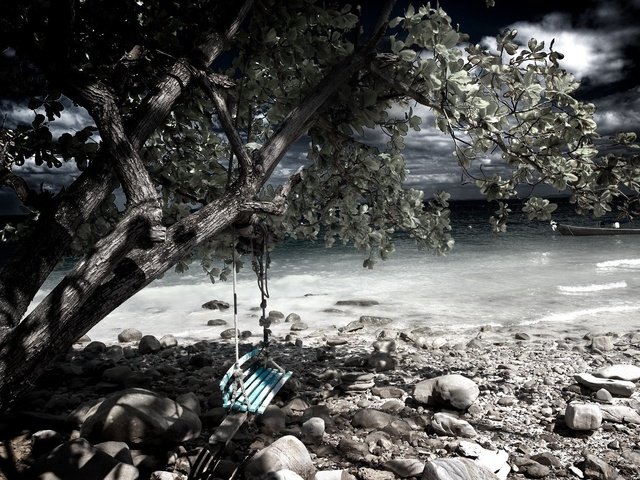 Обои дерево, камни, берег, качели, tree, stones, shore, swing разрешение 1920x1200 Загрузить