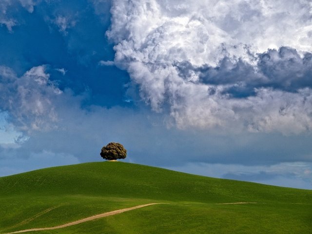 Обои облака, дерево, холм, clouds, tree, hill разрешение 2200x1650 Загрузить