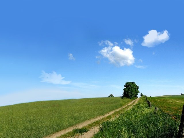 Обои небо, дорога, природа, зелень, поле, the sky, road, nature, greens, field разрешение 2560x1600 Загрузить