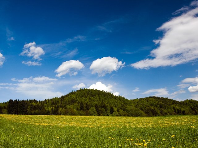 Обои трава, холмы, зелень, австрия, ландшафт, spring nature, carinthia austria, грин, grass, hills, greens, austria, landscape, green разрешение 2560x1600 Загрузить