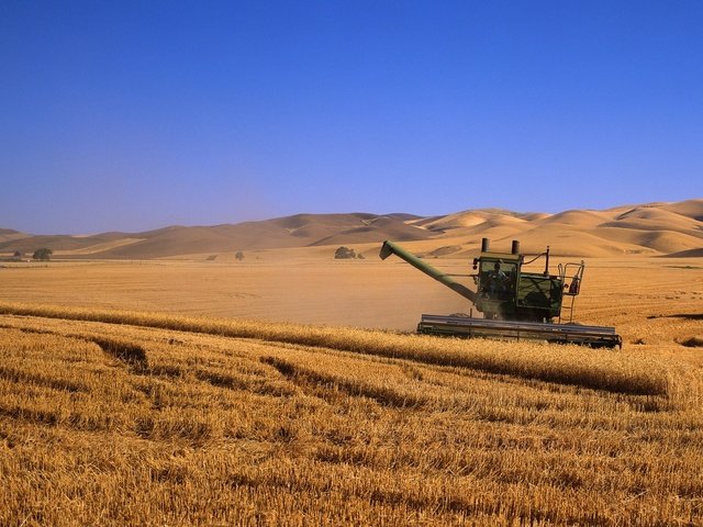 Обои поля, комбаины, урожай, field, kombain, harvest разрешение 2245x1200 Загрузить