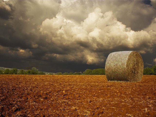 Обои облака, буря, поле, clouds, storm, field разрешение 1920x1440 Загрузить