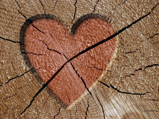 Обои дерево, сердце, трещины, tree, heart, cracked разрешение 1920x1200 Загрузить