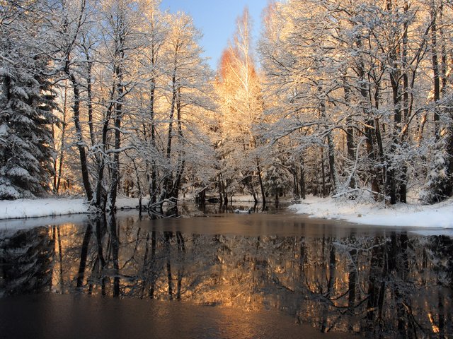 Обои река, снег, лес, зима, корка, льда, river, snow, forest, winter, cork, ice разрешение 2560x1600 Загрузить