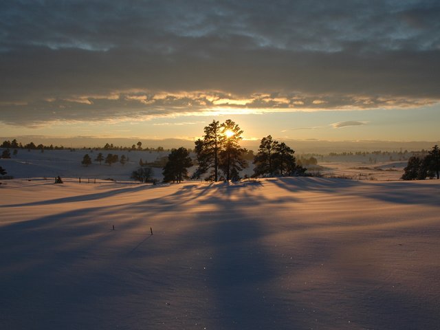 Обои деревья, снег, закат, зима, trees, snow, sunset, winter разрешение 1920x1200 Загрузить