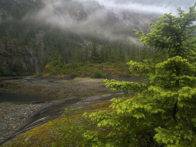 Обои река, туман, аляска, river, fog, alaska разрешение 1920x1200 Загрузить
