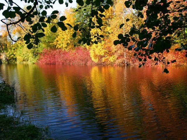 Обои река, природа, осень, river, nature, autumn разрешение 3671x2468 Загрузить