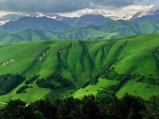 Обои трава, горы, южная осетия, grass, mountains, south ossetia разрешение 1920x1200 Загрузить