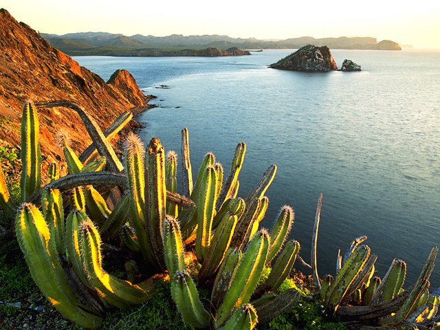 Обои горы, закат, море, кактусы, мексика, mountains, sunset, sea, cacti, mexico разрешение 1920x1200 Загрузить