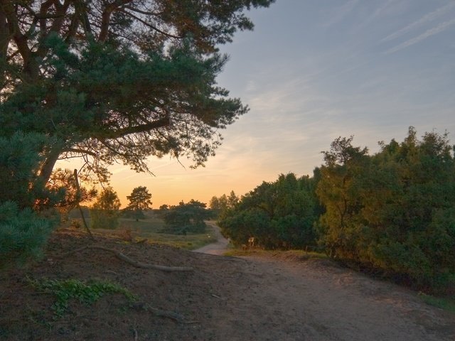 Обои дорога, деревья, природа, лес, тропинка, road, trees, nature, forest, path разрешение 1920x1080 Загрузить