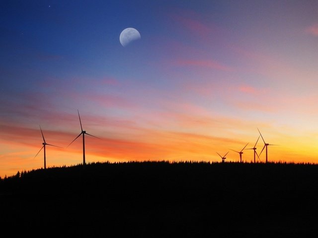 Обои вечер, луна, ветряки, ветротурбины, the evening, the moon, windmills, wind turbine разрешение 1920x1200 Загрузить