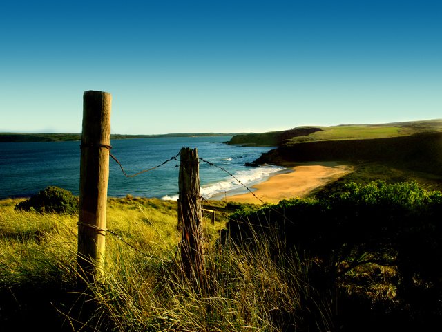 Обои трава, море, забор, побережье, grass, sea, the fence, coast разрешение 2560x1920 Загрузить