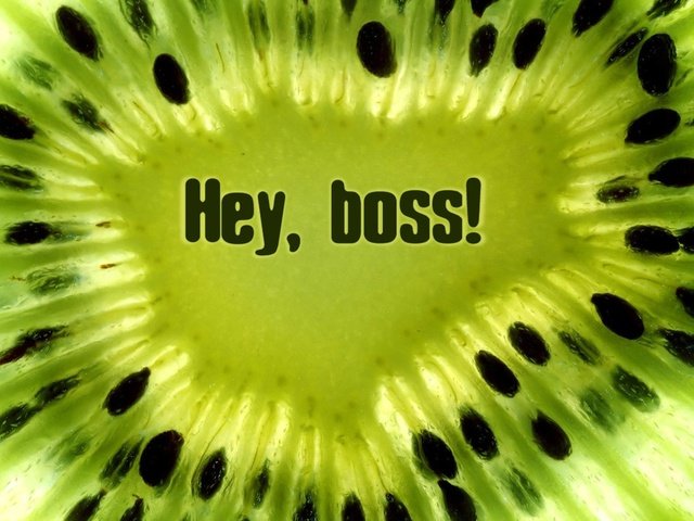 Обои зелёный, киви, boss!, эй, green, kiwi, hey разрешение 1920x1200 Загрузить