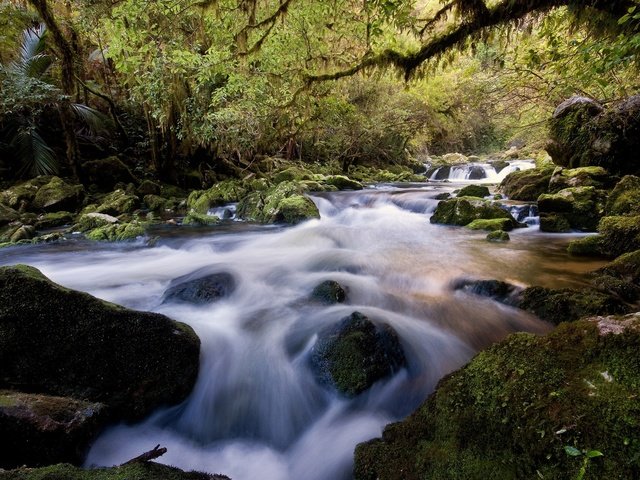 Обои река, камни, лес, river, stones, forest разрешение 2560x1600 Загрузить