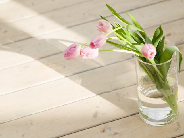 Обои цветы, букет, тюльпаны, розовые, тюльпан, ваза, flowers, bouquet, tulips, pink, tulip, vase разрешение 1920x1200 Загрузить
