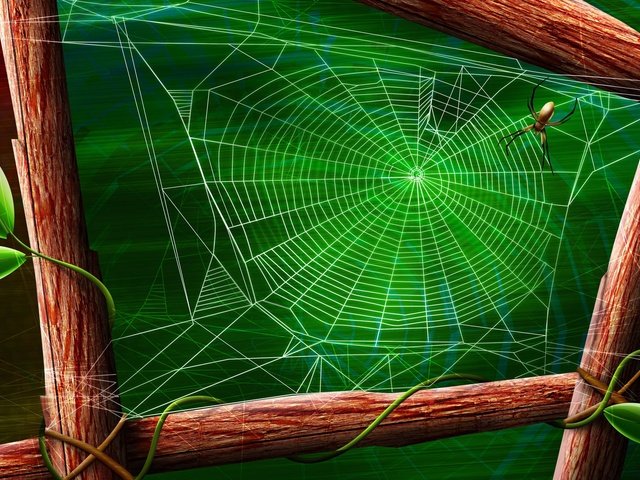Обои листья, паук, паутина, leaves, spider, web разрешение 1920x1080 Загрузить