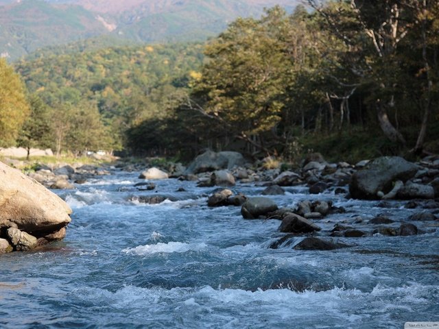 Обои вода, камни, брызги, поток, горная река, water, stones, squirt, stream, mountain river разрешение 1920x1080 Загрузить