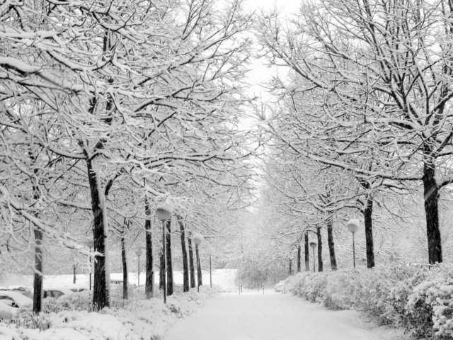 Обои снег, природа, зима, парк, чёрно-белое, аллея, уличный фонарь, snow, nature, winter, park, black and white, alley разрешение 2704x1764 Загрузить